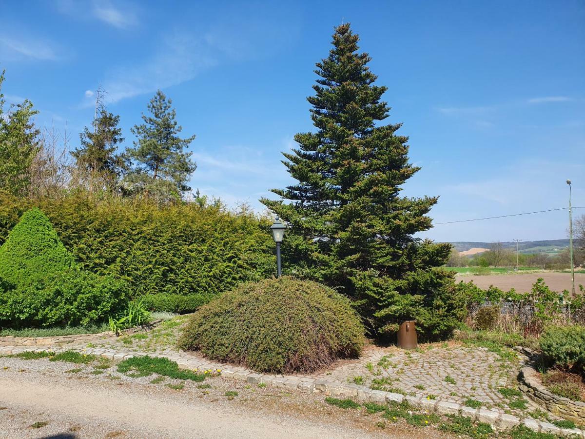 Villa Kliche Przerzeczyn-Zdroj Dış mekan fotoğraf